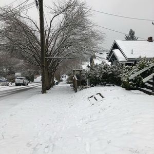 Meet your Posher, Arely